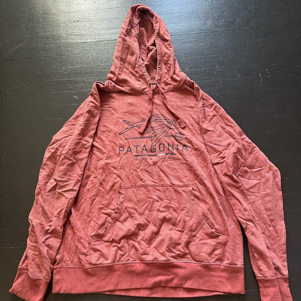 Patagonia Men's Brick Red Hoodie